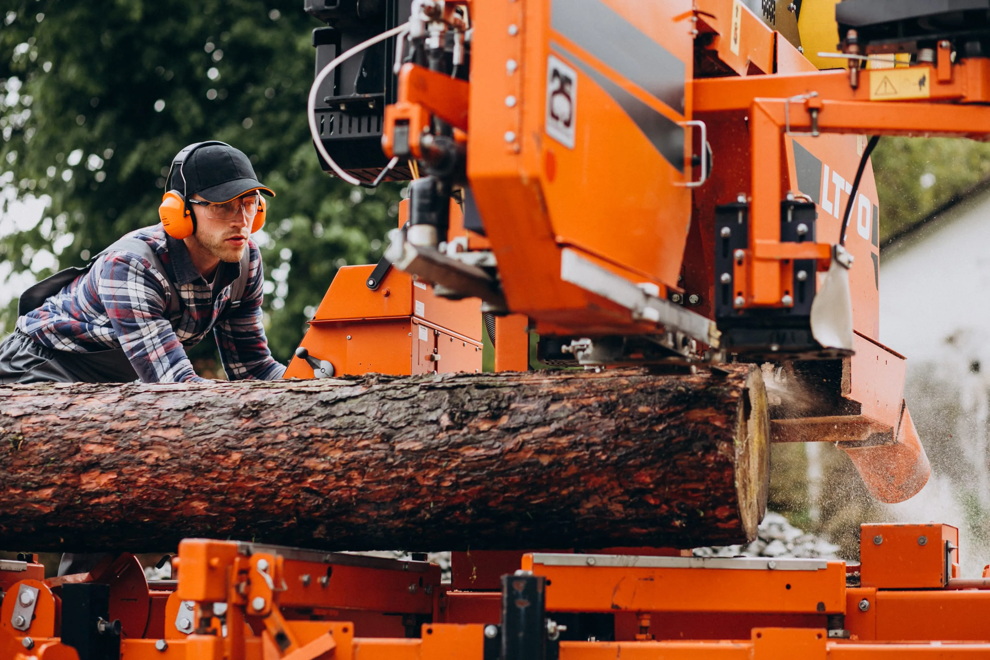 Tree Trimming Near You